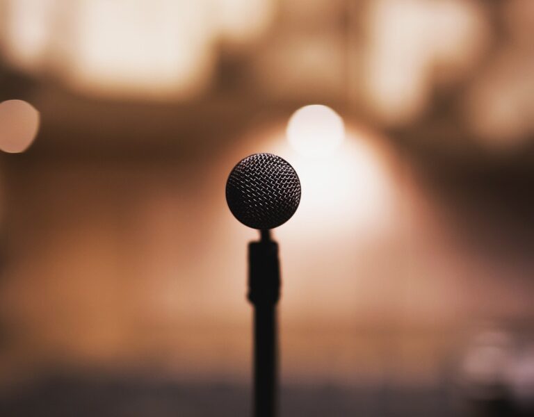 Audio mic perform music sing