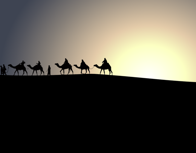 Camel travel geography