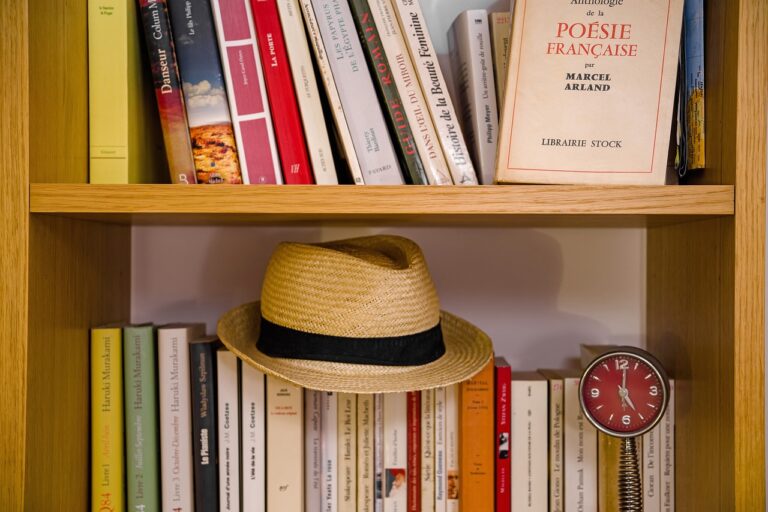 Literature bookcase books travel time