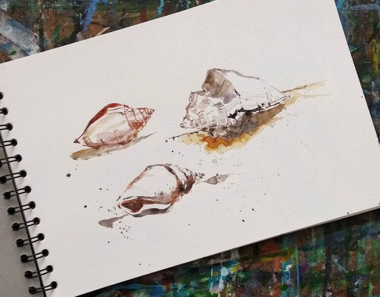 Sea shells sketchbook drawing