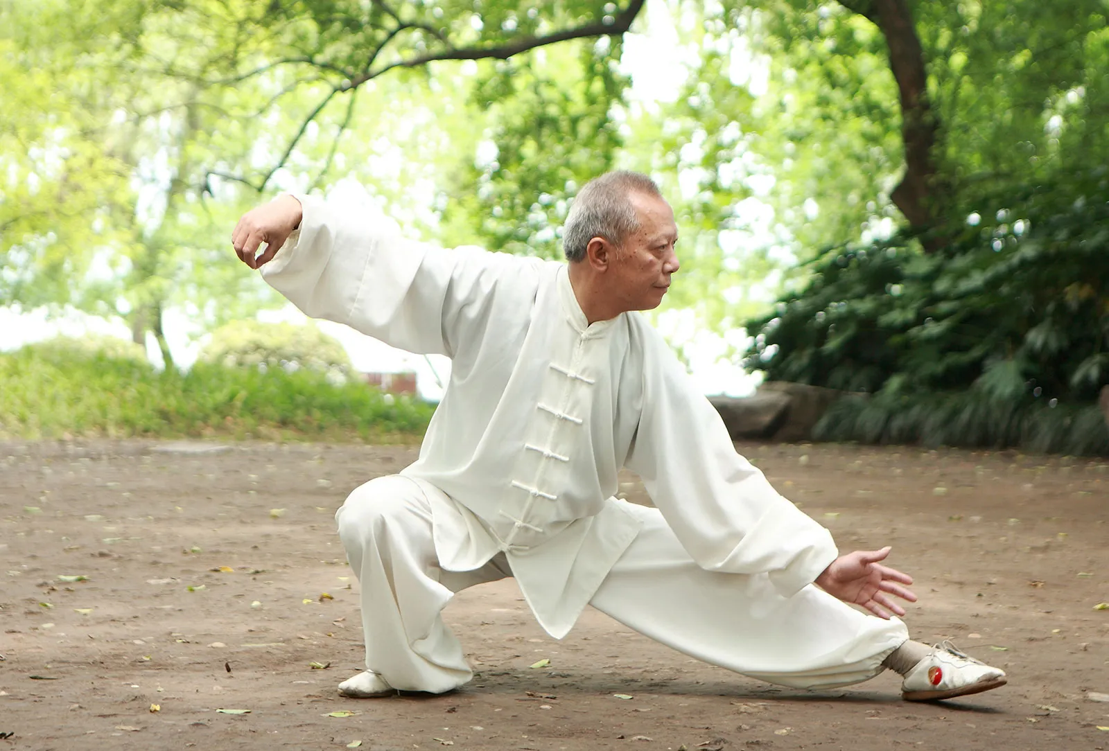 Tai chi chuan practitioner