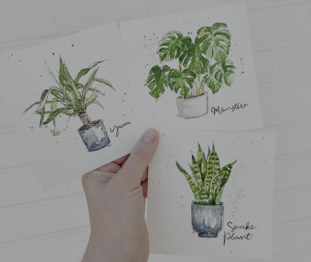 Watercolour and ink houseplants landscape
