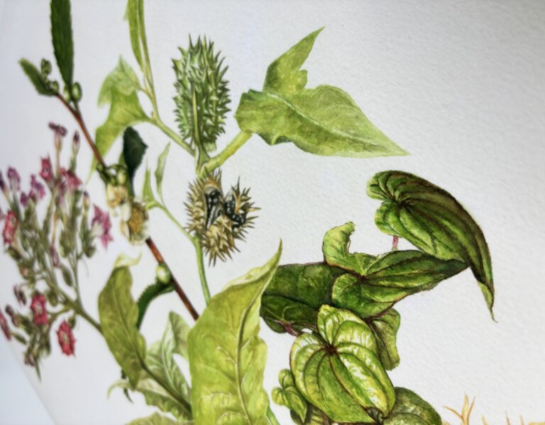 Bu watercolour