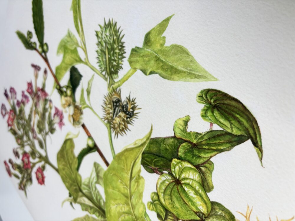 Bu watercolour
