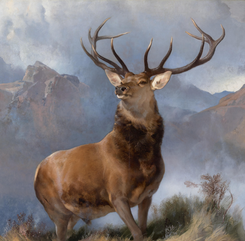 Thumbnail the monarch of the glen, edwin landseer, 1851